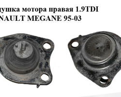 Подушка мотора правая 1.9TDI RENAULT MEGANE 95-03 (РЕНО МЕГАН) (8200267624, SM0607, 4001770, FZ90169,