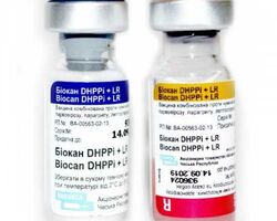 В-на Біокан DHPPI+L