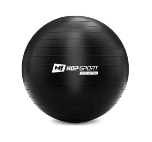 Фітбол Hop-Sport 55cm HS-R055YB black + насос