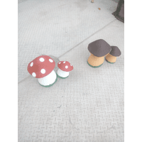 гриби декоративні