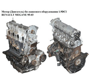 Мотор (Двигатель) без навесного оборудования 1.9DCI  RENAULT MEGANE 95-03 (РЕНО МЕГАН) (F9Q 732, F9Q732)