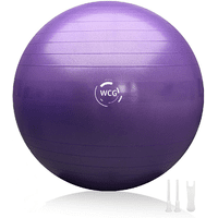 М'яч для фітнесу (фітбол) WCG 65 Anti-Burst 300кг Фіолетовий