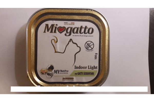Morando (Морандо) Miogatto Indoor Light - для для домашних кошек - NaVolyni.com