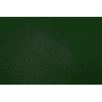 Рейнбов темно зелений