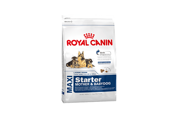 Royal Canin MAXI STARTER для щенков крупных размеров 4 КГ - NaVolyni.com