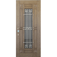 Вхідні металеві двері (зразок 100)