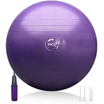 М'яч для фітнесу (фітбол) WCG 65 Anti-Burst 300 кг Фіолетовий + насос - NaVolyni.com, Фото 1