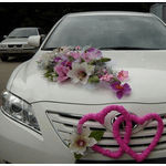 Оренда авто на весілля, день народження,  бізнес зустрічі, супровід VIP-персон - NaVolyni.com, Фото 1