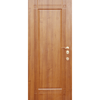Вхідні металеві двері (зразок 173)