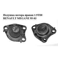 Подушка мотора правая 1.9TDI RENAULT MEGANE 95-03 (РЕНО МЕГАН) (8200267624, SM0607, 4001770, FZ90169,