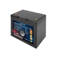 Акумулятор LP LiFePO4 24V (25,6V) - 52 Ah (1331Wh) (BMS 60A/30A) пластик для ДБЖ