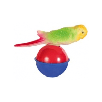 іграшка для попугая