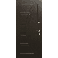 Вхідні металеві двері (зразок 185)