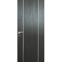 Вхідні металеві двері (зразок 113)