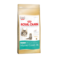 Royal Canin Kitten Maine Coon для котят Мэйн Кун 4 кг