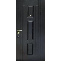 Вхідні металеві дверіі (зразок 196)