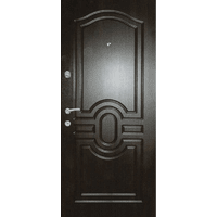 Вхідні металеві двері (зразок 135)