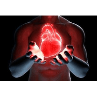 Лікування серцево-судинної системи