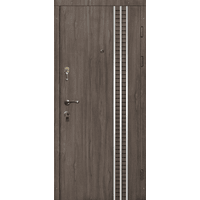 Вхідні металеві двері (зразок 118)