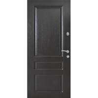 Вхідні металеві двері (зразок 184)
