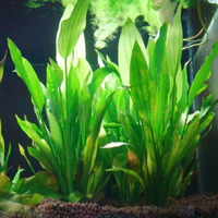 Штучні рослини в акваріум