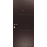 Вхідні металеві двері (зразок 111)