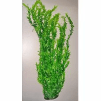 Пластиковое растение для аквариума 047802 , 75-80 см