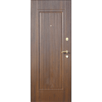 Вхідні металеві двері (зразок 171)