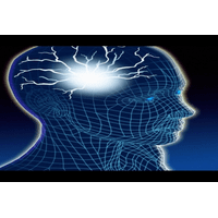 Діагностика уражень нервової системи і психіки