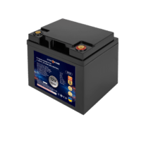 Акумулятор LP LiFePO4 12V (12,8V) - 50 Ah (640Wh) (BMS 80A/40А) пластик