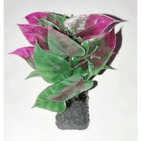 Пластиковое растение для аквариума 3122