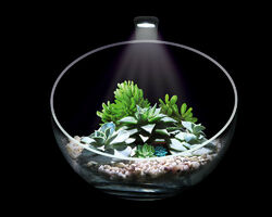 Wabi Set - декоративный аквариумный набор