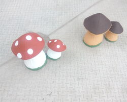 гриби декоративні