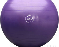 М'яч для фітнесу (фітбол) WCG 65 Anti-Burst 300кг Фіолетовий