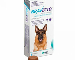 Жевательная таблетка Bravecto Бравекто от блох и клещей для собак весом 20-40 кг 1 шт.