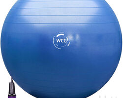 М'яч для фітнесу (фітбол) WCG 55 Anti-Burst 300кг Голубий + насос