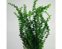 Пластиковое растение для аквариума 044352 , 35 см