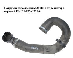 Патрубок охлаждения 3.0MJET от радиатора верхний FIAT DUCATO 06- (ФИАТ ДУКАТО) (1363624080)