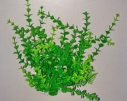 Пластиковое растение для аквариума 047202 , 15-20 см