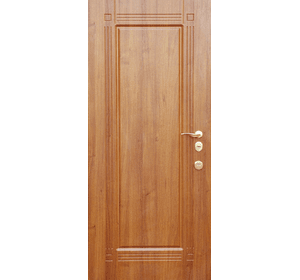 Вхідні металеві двері (зразок 173)