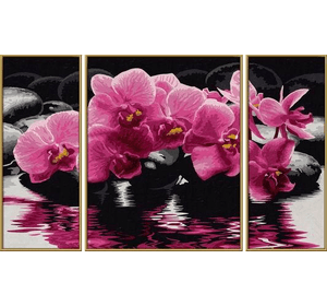 Художній творчий набір-триптих 'Орхідеї', 50х80 см, 12+