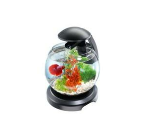 Tetra Cascade Globe - аквариум для петушка или золотой рыбки 6,8 л