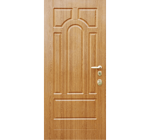 Вхідні металеві двері (зразок 180)