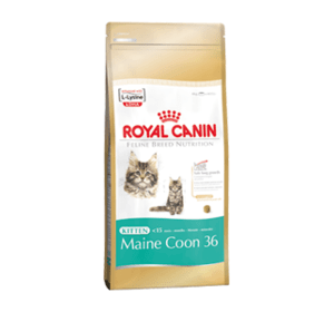 Royal Canin Kitten Maine Coon  для котят Мэйн Кун 4 кг