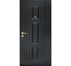 Вхідні металеві дверіі  (зразок 196)
