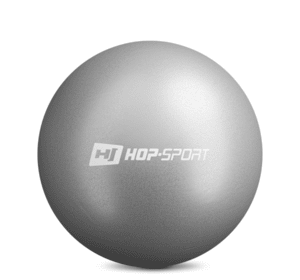 Фітбол Hop-Sport 25cм HS-R025PB silver
