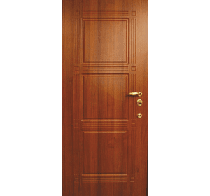 Вхідні металеві двері (зразок 172)