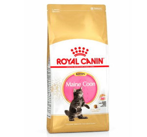 Корм для кошек Royal Canin Maine Coon Kitten 2 кг