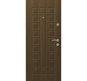 Вхідні металеві двері (зразок 157)