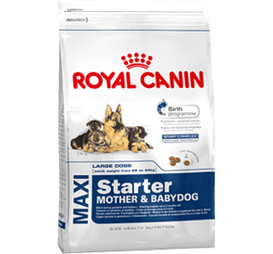 Royal Canin MAXI STARTER для щенков крупных размеров 4 КГ